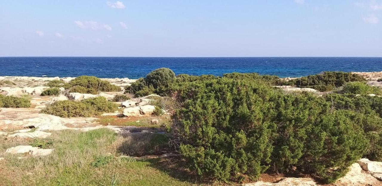 Mosaic Villa By The Sea Protaras Exterior foto