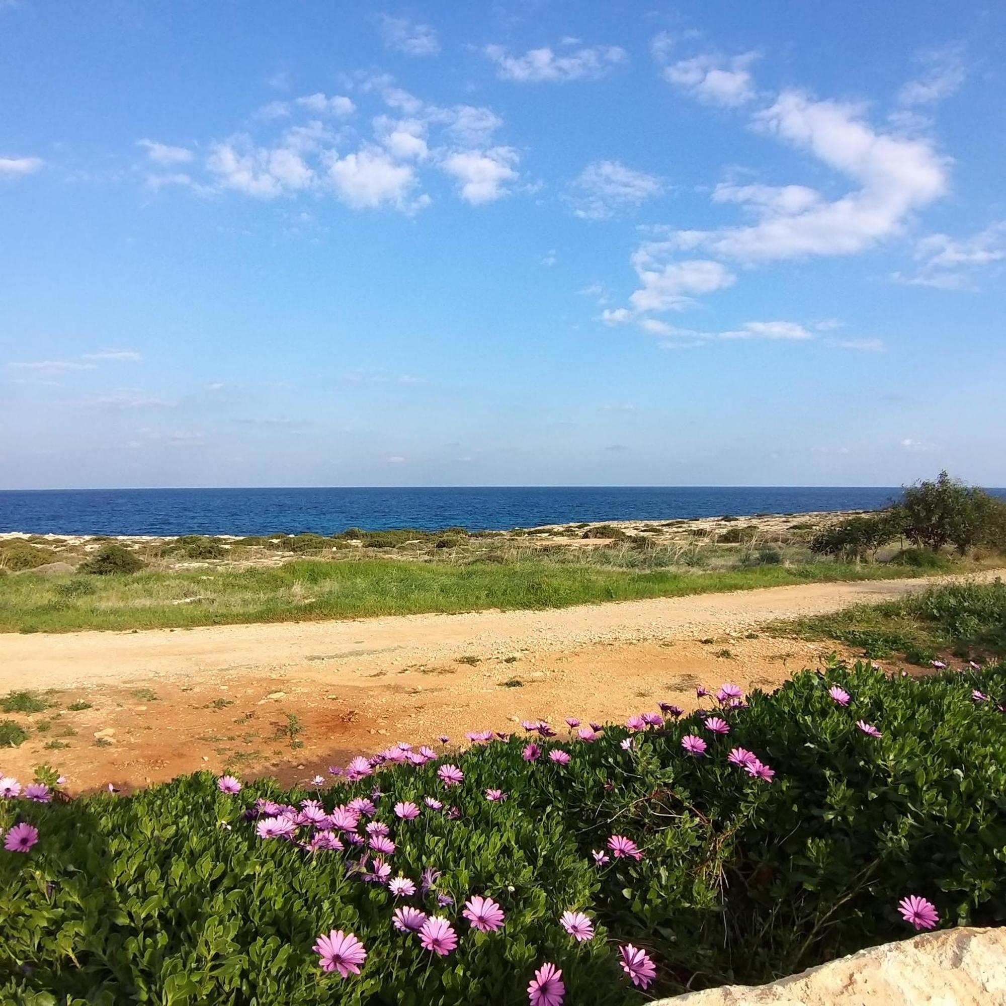 Mosaic Villa By The Sea Protaras Exterior foto
